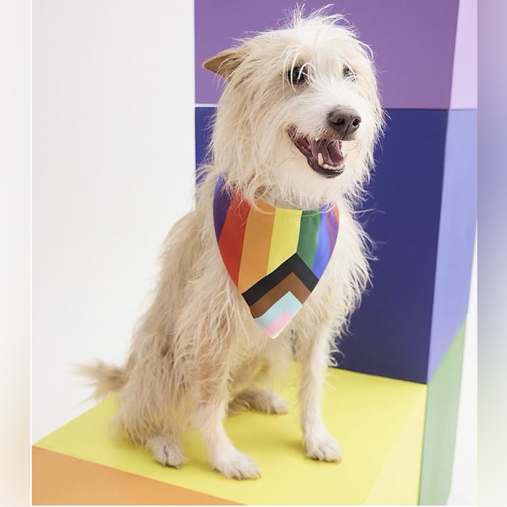 NWT - Rainbow Pride Dog Bandana